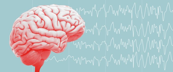 Epilepsy Disorder vs. Seizure: Differences Explained Epilepsy and coronavirus covid 19 risks complications considerations