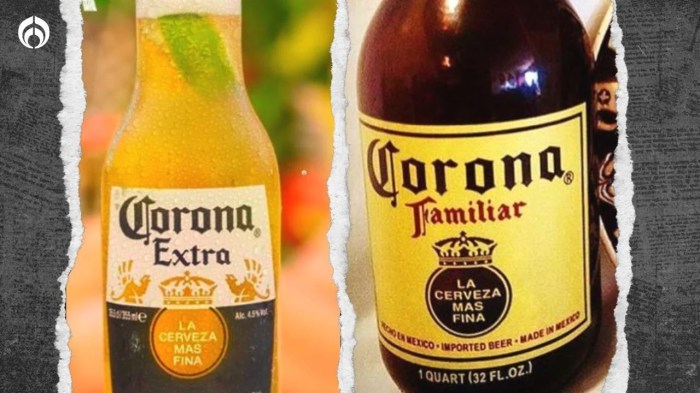 What is the corona radiata