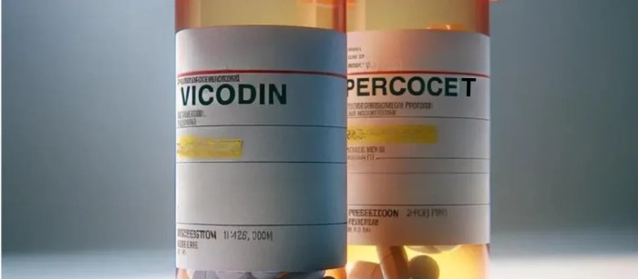 Conzip vs percocet what s the difference