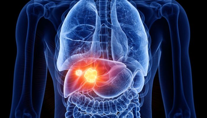 Supplements for liver health