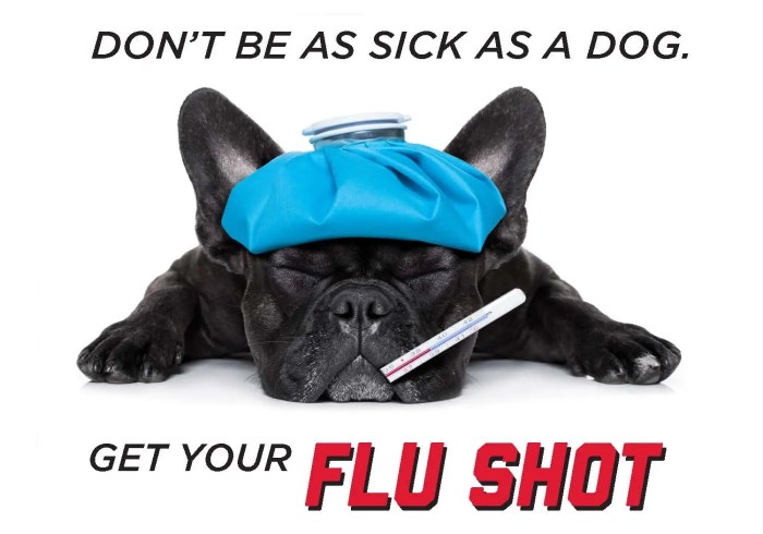 One Step Closer to a Universal Flu Vaccine? - The New York Times Is the flu airborne facts transmission prevention