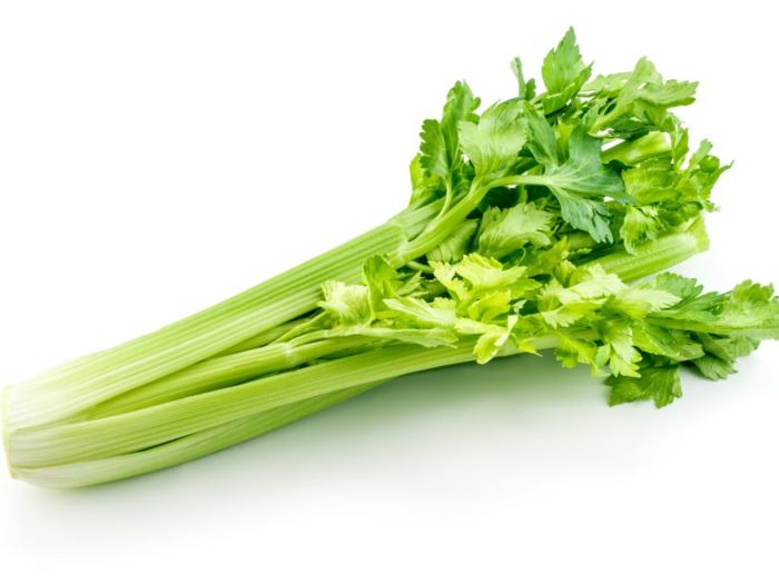 Foodproof® Celery Detection Kit | Hygiena What is celery juice good for
