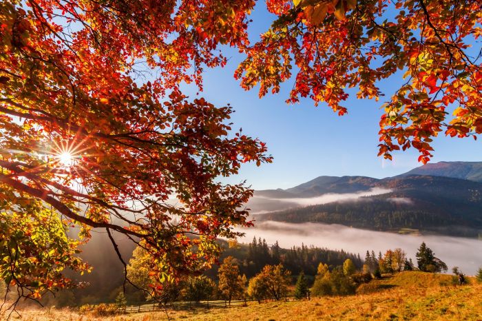 Desktop Fall Pictures Wallpaper | WhatsPaper Fall produce for heart health