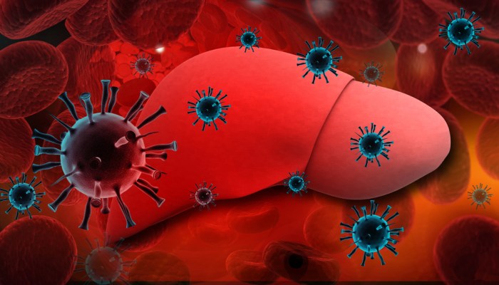 Hepatitis c symptoms in males