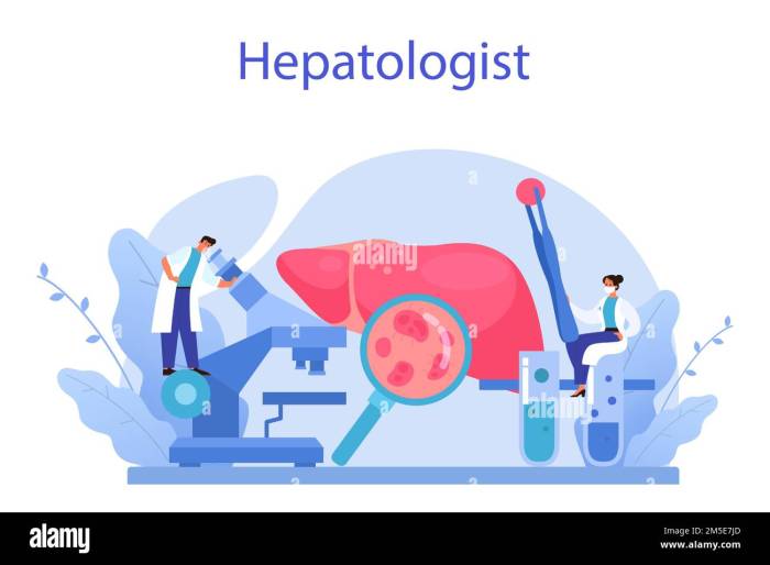 Premium Vector | Hepatologist concept. doctor make liver examination ... Hepatologist or gastroenterologist for liver care
