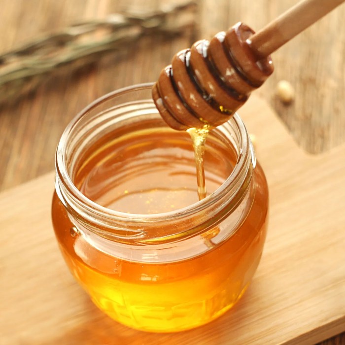 Honey and yogurt probiotics