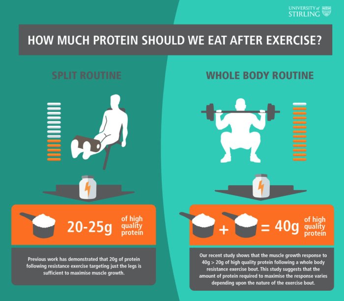 How Much Protein a Day Do You Need to Build Muscle? How much protein should you eat daily to gain muscle