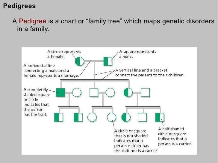 How genetic disorders are inherited