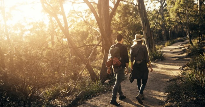 Does walking lower blood pressure