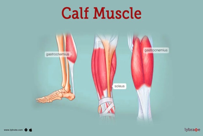 Supplements for Leg Cramps A Deep Dive