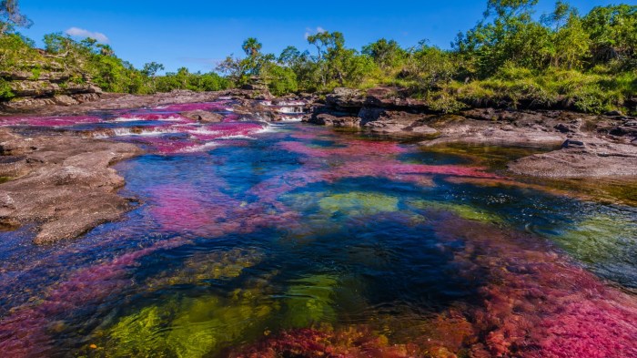 The Most Magnificent Colors In The World May Be Seen In The Colonial ... Natural remedies for laryngitis