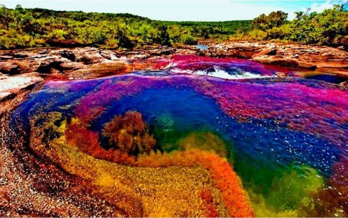BBC - Travel - Colombia's 'Liquid Rainbow' Natural remedies for menopause that actually work