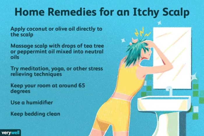 SOLUTION: What to know about treating an itchy scalp - Studypool Itchy scalp at night causes prevention and treatment