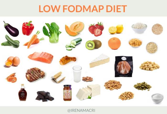 Foods on the low fodmap diet