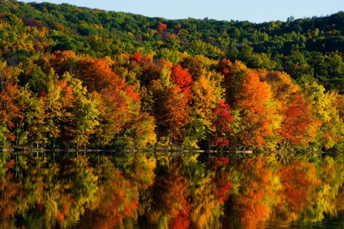 Fall produce for heart health