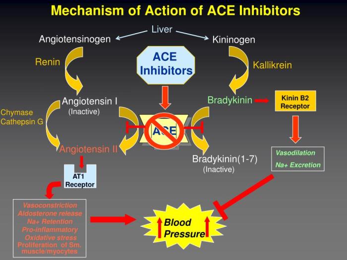 PPT - ACE Inhibitors PowerPoint Presentation, free download - ID:1877497 Ace inhibitors blood pressure control in diabetes