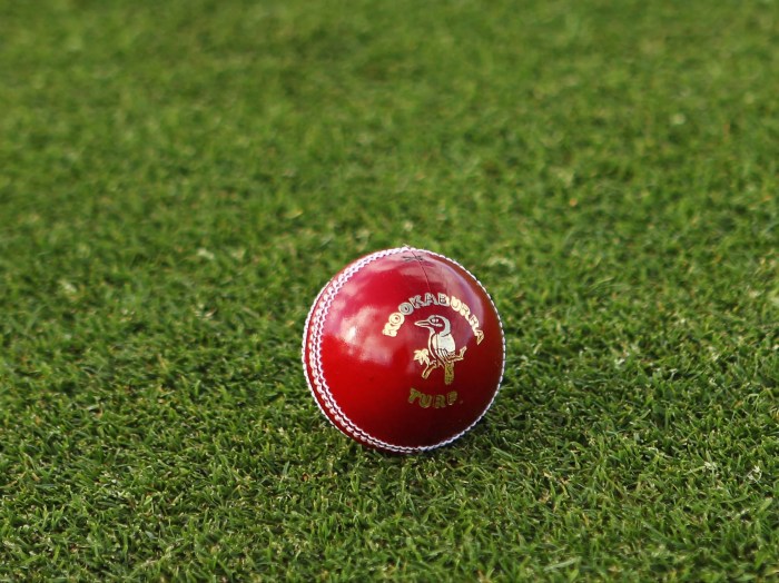 South Africa vs Netherlands LIVE: Cricket score and updates from ODI ... What is a live virus vaccine