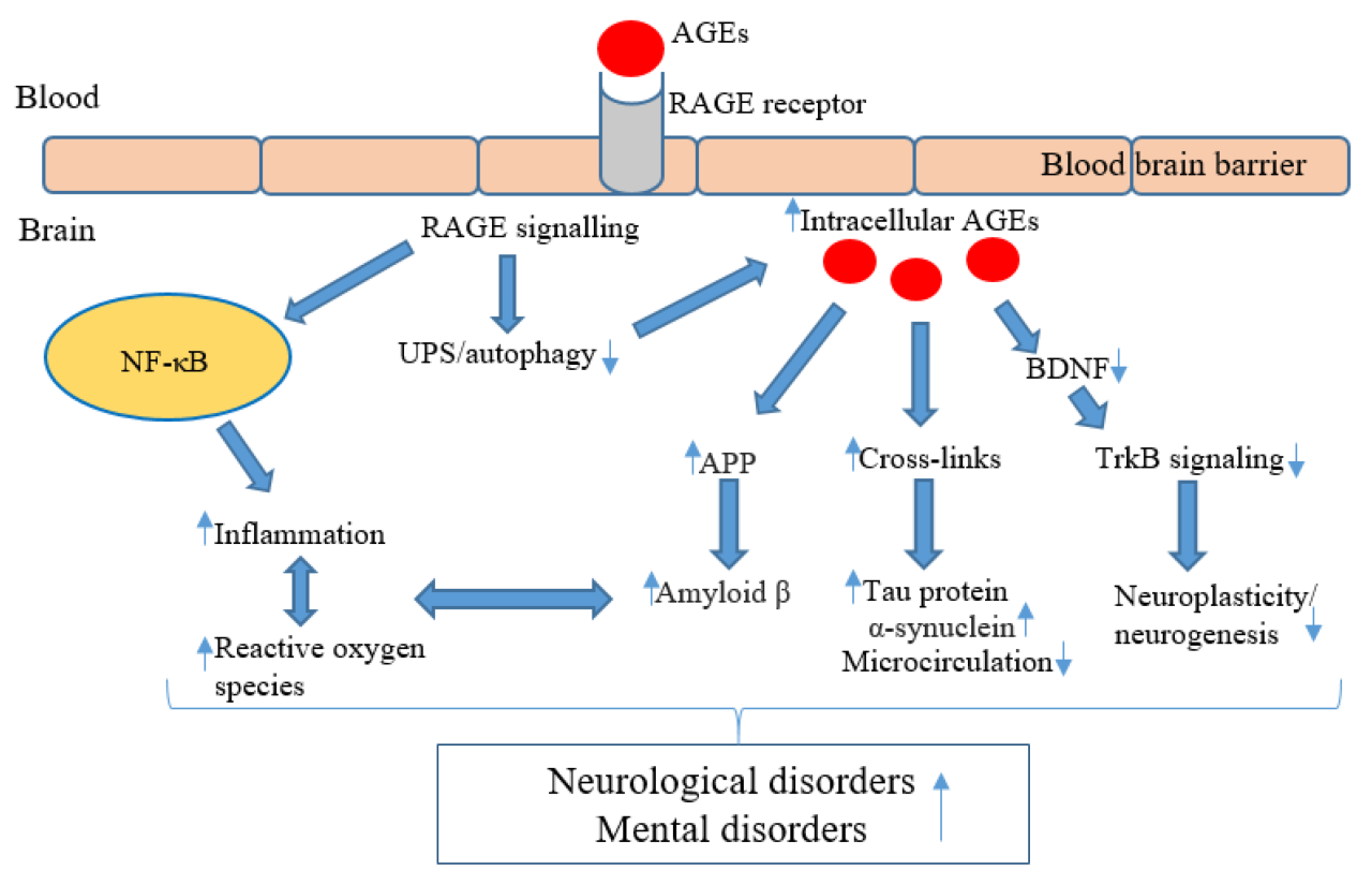 Advanced atopic dermatitis coping
