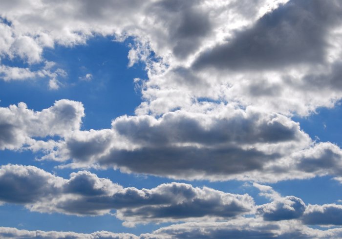 What Does Cloudy Urine Mean? A Deep Dive
