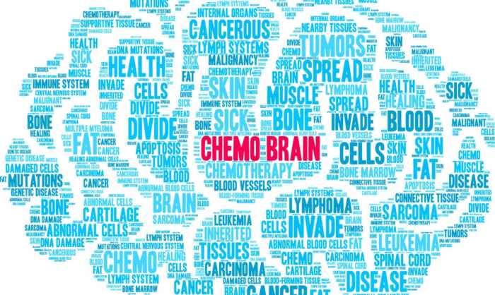 Chemo Brain Short & Long-Term Strategies