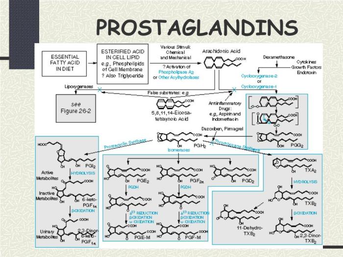 Prostaglandins and your pain signals