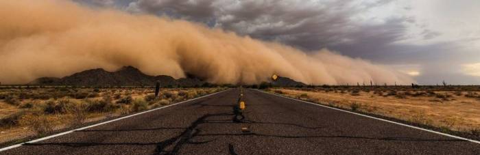 Symptoms of dust mite eczema