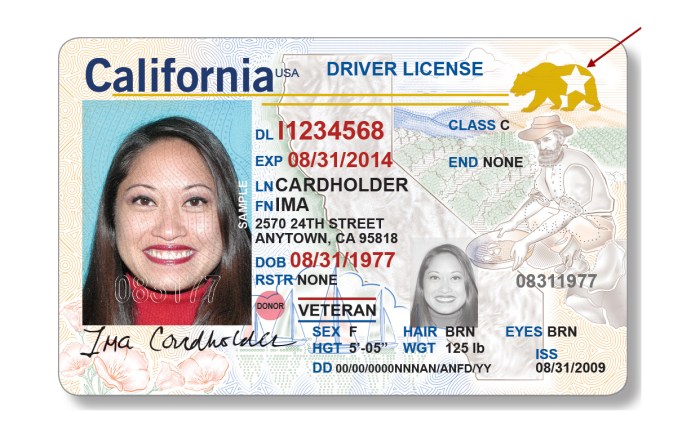 DMV to Offer REAL ID Driver License and ID Cards January 22 ... What is an id reaction