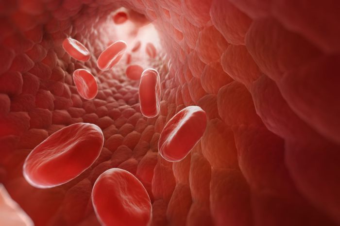 Blood sugar levels after eating