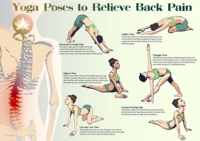 Stretching Exercises for Your Back A Complete Guide