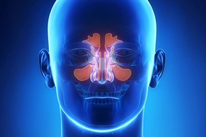 Sinus Infections Signs and Dangers - Prestige ER - No Wait 24/7 Sinus infection vs cold