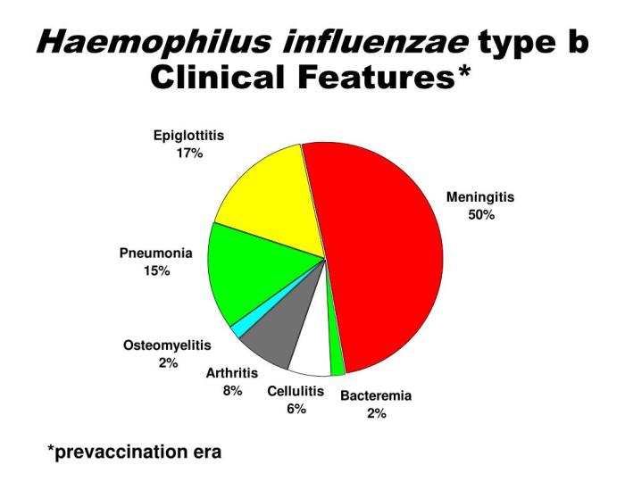 Haemophilus Influenzae Type B (Hib) | Yukon Immunize Haemophilus influenzae type b overview