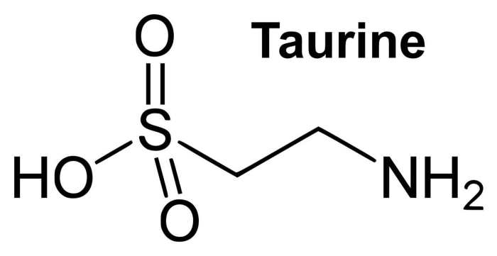 Taurine Benefits Side Effects & Functions