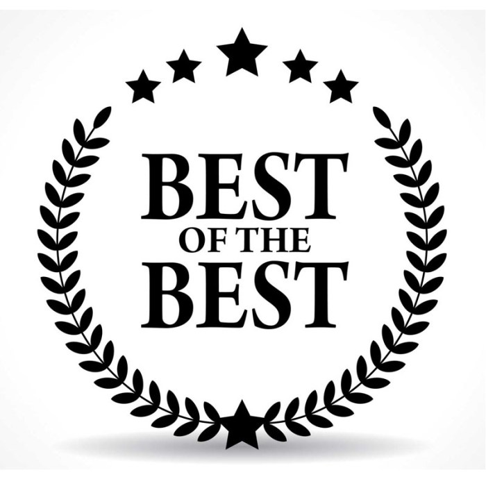 The Best So Far – Eagles Grammar International School Best anti inflammatory medication