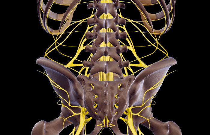 What causes sciatica buttock pain