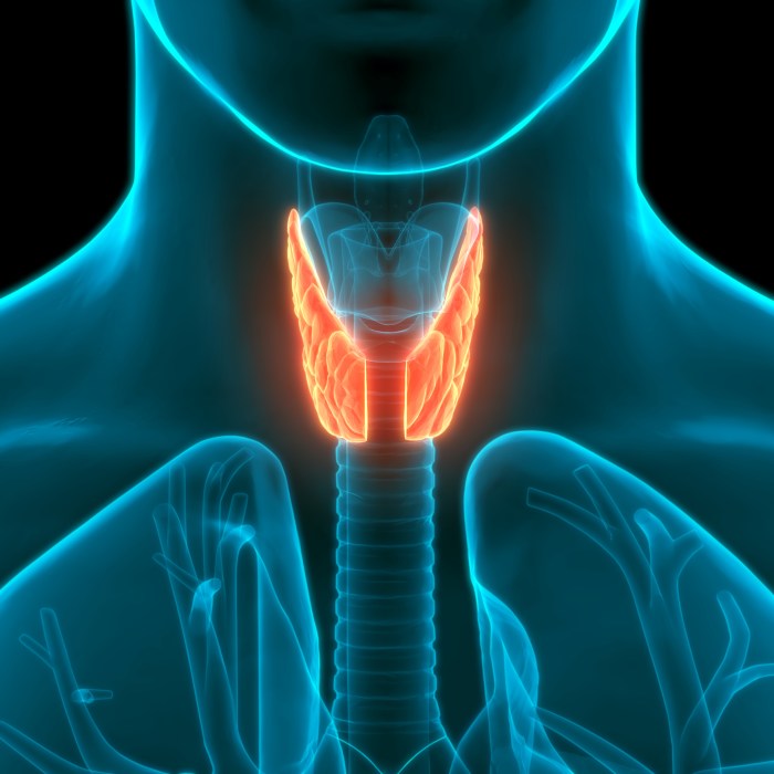 Thyroid disease and diabetes