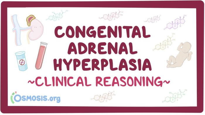 Congenital adrenal hyperplasia overview