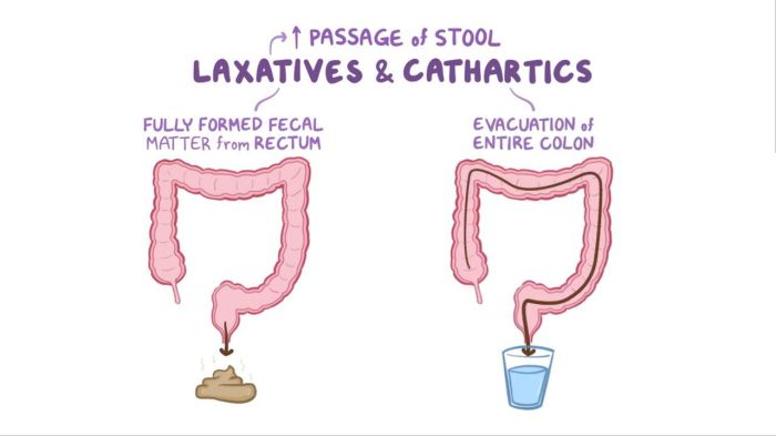 What Are Laxatives?| RestoraLAX® Canada Understanding stimulant laxatives and how they work