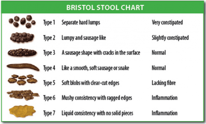Frequent Bowel Movements Followed by Constipation: Is Irritable Bowel ... Frequent bowel movements causes and treatment