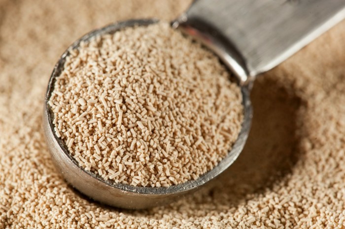 Home Remedies for Yeast Infections A Guide