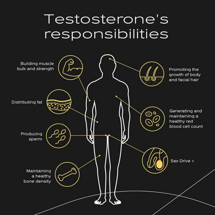 Testosterone for transgender men