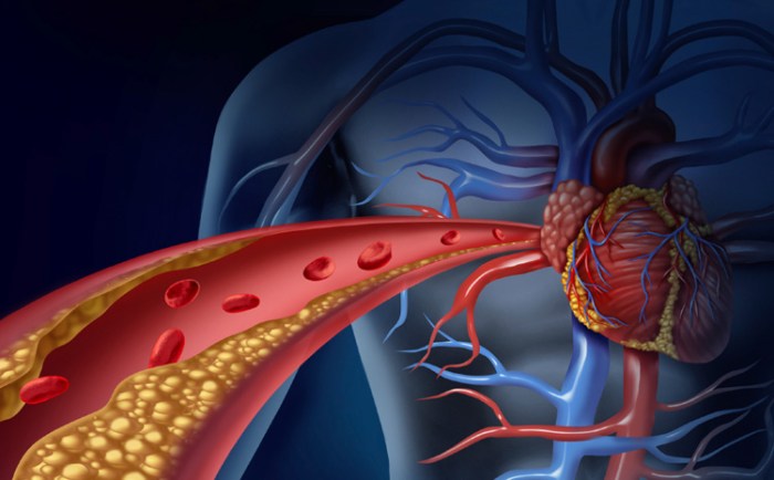 Cholesterol numbers are in! Here’s what you should know. - HCA ... Drugs for cholesterol and triglycerides