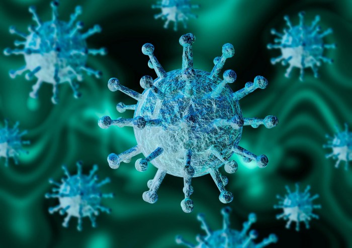 Coronavirus news: the latest on the global pandemic - CNN Covid rapid test line color
