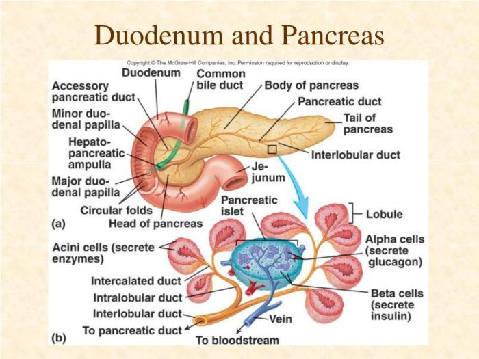 Right upper quadrant pain
