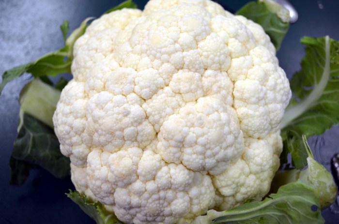 Cauliflower ear prevention and treatment