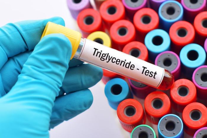 What are the causes of high triglycerides
