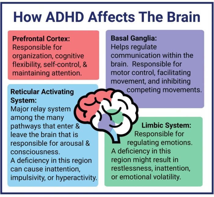 Adhd in adults symptoms