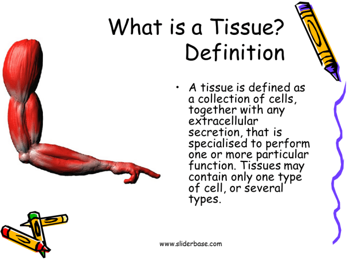 Tissue plasminogen activator tpa