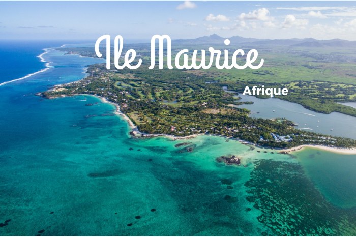 Maurice gibb dies at 53