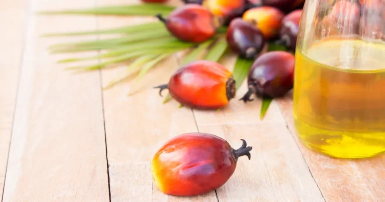 Exploring the Nutritional Profile and Health Implications of Palm Oil: A Global Dietary Staple Under Scrutiny