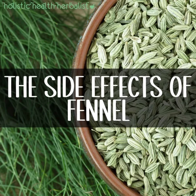 Fennel Seeds Side Effects For Females